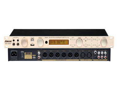DSP-6000V 前级效果器